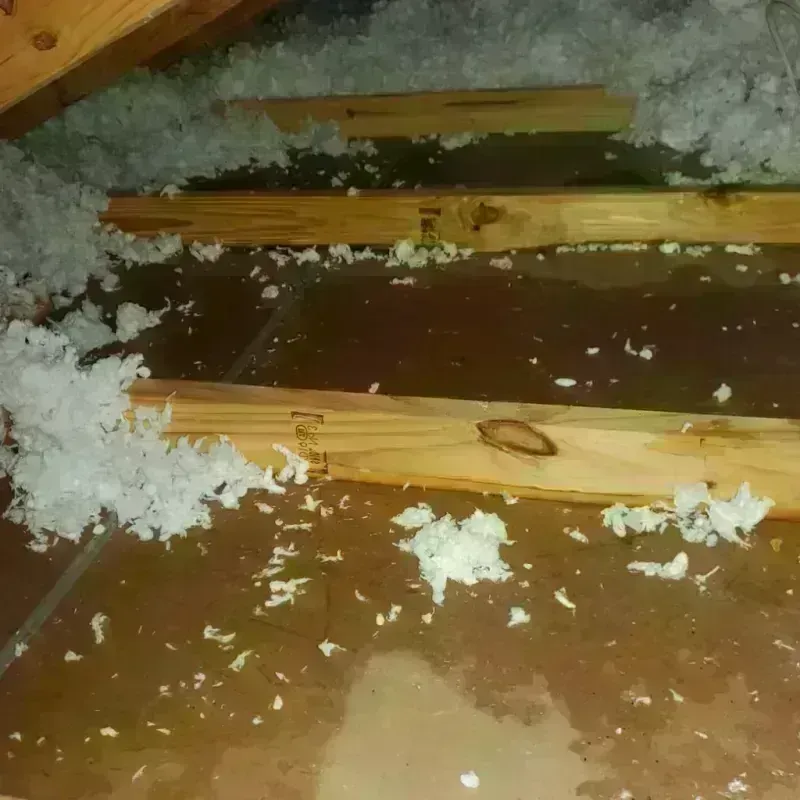 Attic Water Damage in Vinton, VA